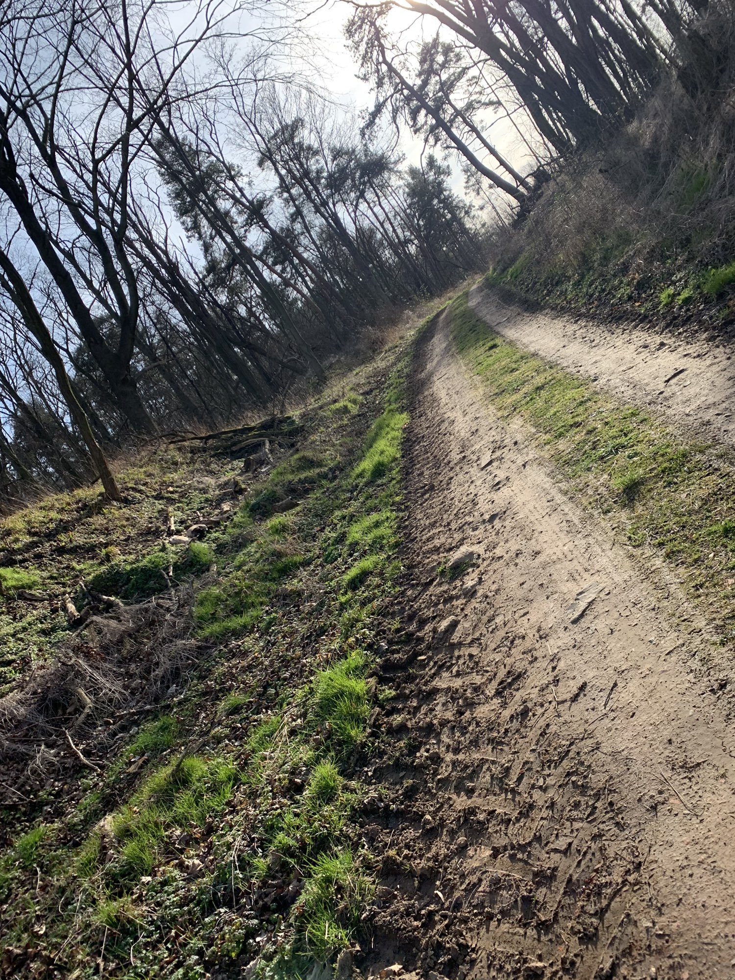 Sonntagsrunde