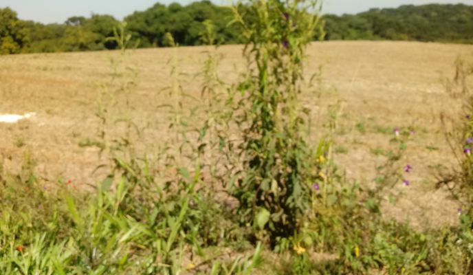 Foto 1 der Bikemap-Route "De Rua Iuca 235 a Rua Iuca 235"