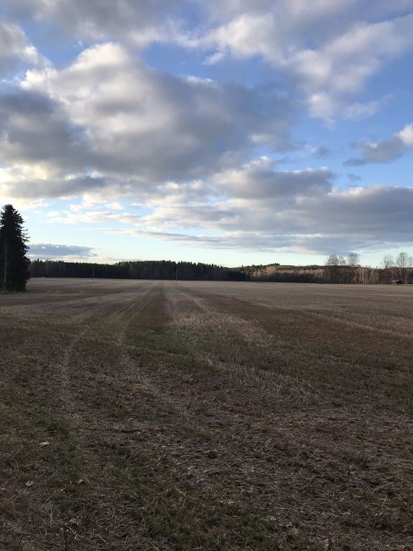 Relaxed route in Valkeala