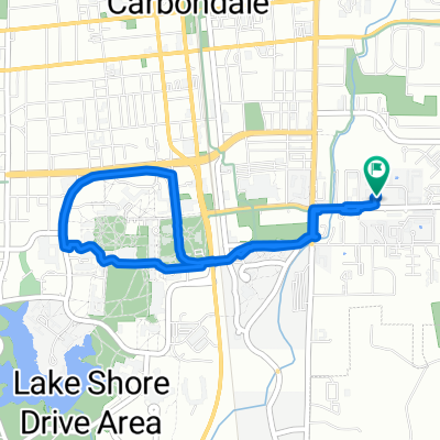 Slow ride in Carbondale