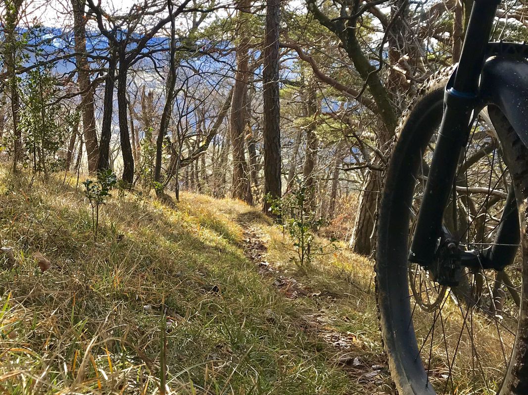 Herrenberg/Bürenflueh