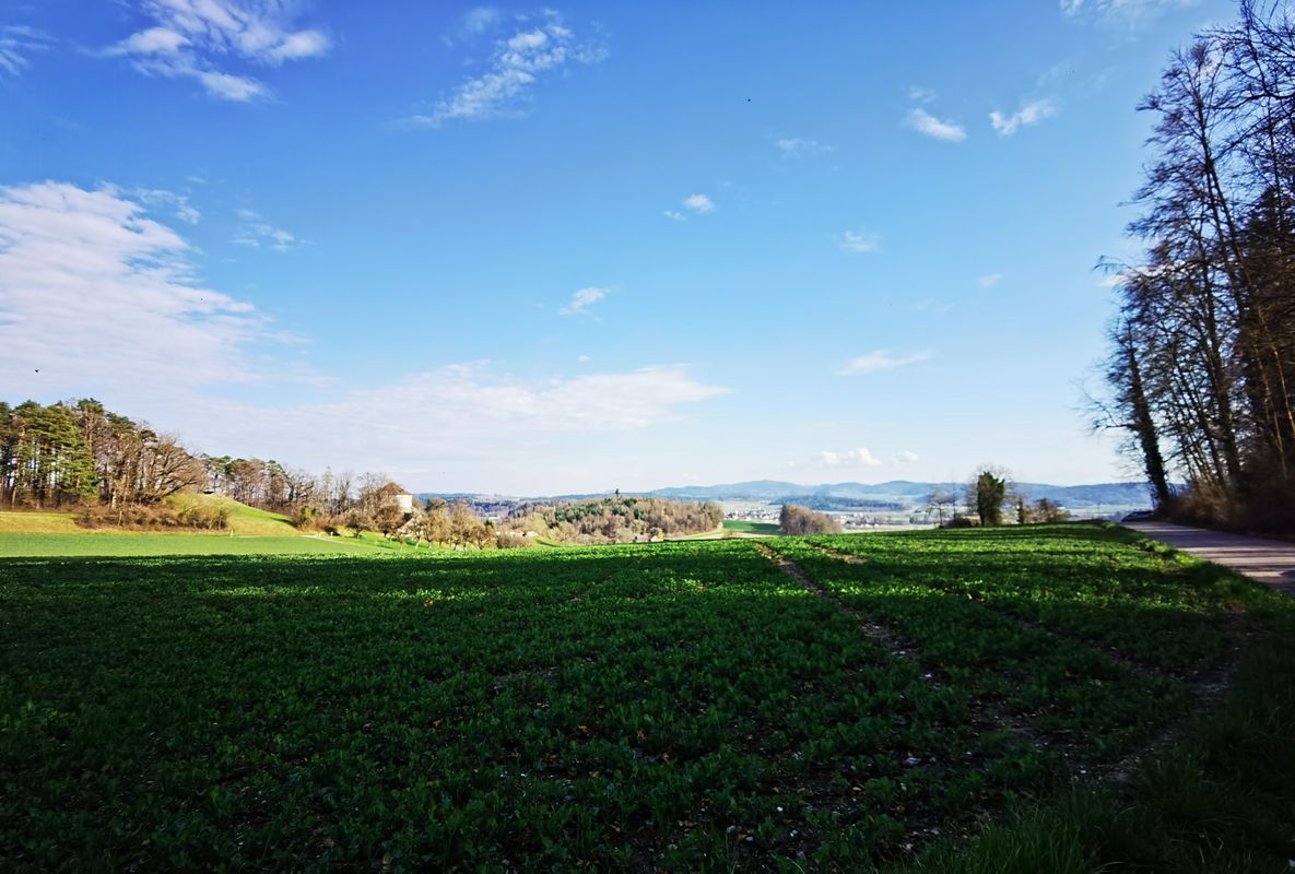 Buchsweg 3, Winterthur nach Buchsweg 3, Winterthur