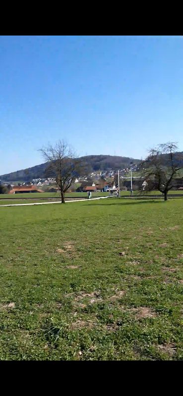Alberich Zwyssigstrasse 79, Wettingen nach Alberich Zwyssigstrasse 81, Wettingen