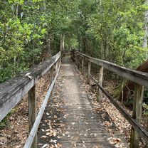 A Quick 8 Miles Through Casselberry