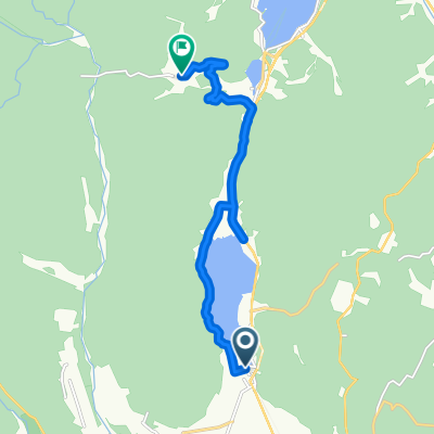 中綱林道コース