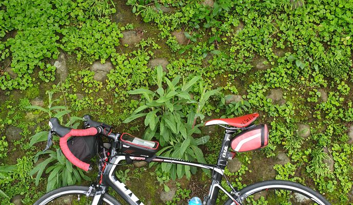 Foto 1 de la ruta de Bikemap "第 50 碇"