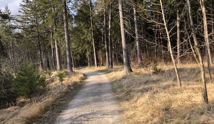 Photo 1 of the Bikemap route "Zu den „drei Böbbala“ von Klosterlechfeld"