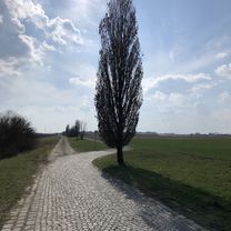 Photo 8 of the Bikemap route "Zu den „drei Böbbala“ von Klosterlechfeld"