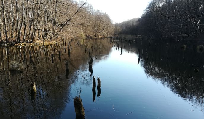 Foto 2 der Bikemap-Route "Jókai utca, Bakonybél to Jókai utca, Bakonybél" Foto 2 der Bikemap-Route "Jókai utca, Bakonybél to Jókai utca, Bakonybél"