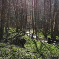 Jókai utca, Bakonybél to Jókai utca, Bakonybél