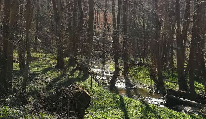 Foto 1 der Bikemap-Route "Jókai utca, Bakonybél to Jókai utca, Bakonybél" Foto 1 der Bikemap-Route "Jókai utca, Bakonybél to Jókai utca, Bakonybél"