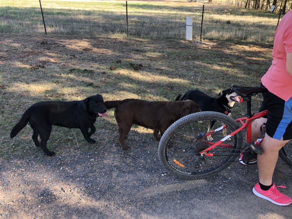 Relaxed route in Little Billabong