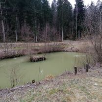 Mislinja-Podgorje-Zg.Zarazbor-Mislinja 21.3.2020