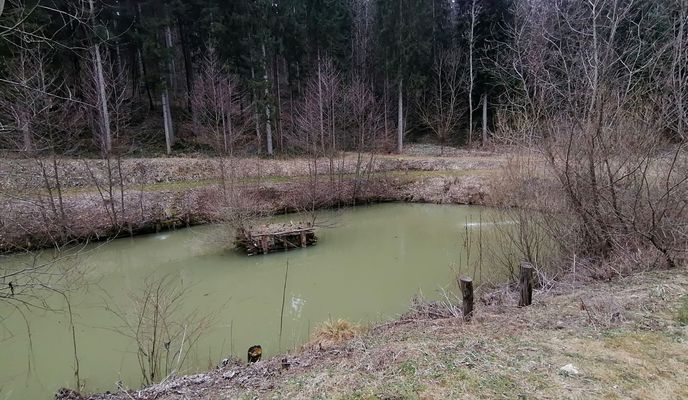 Foto 1 der Bikemap-Route "Mislinja-Podgorje-Zg.Zarazbor-Mislinja 21.3.2020" Foto 1 der Bikemap-Route "Mislinja-Podgorje-Zg.Zarazbor-Mislinja 21.3.2020"