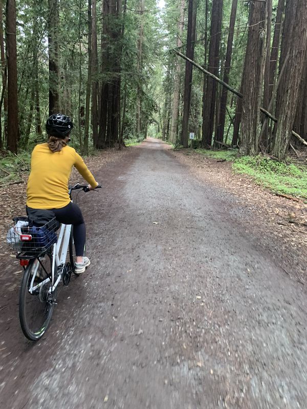 quarantine ride w/ dana