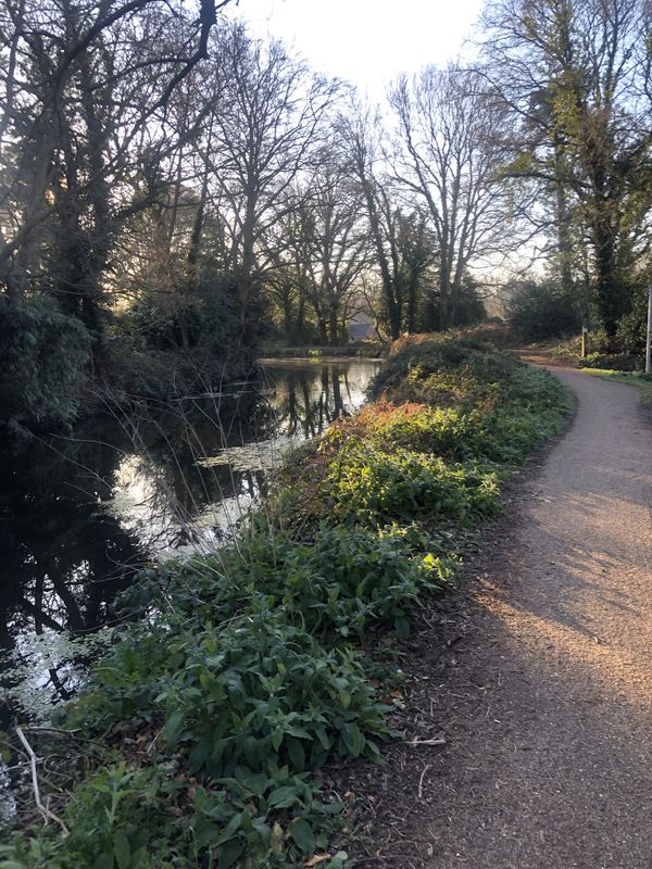 Easy ride in Woking