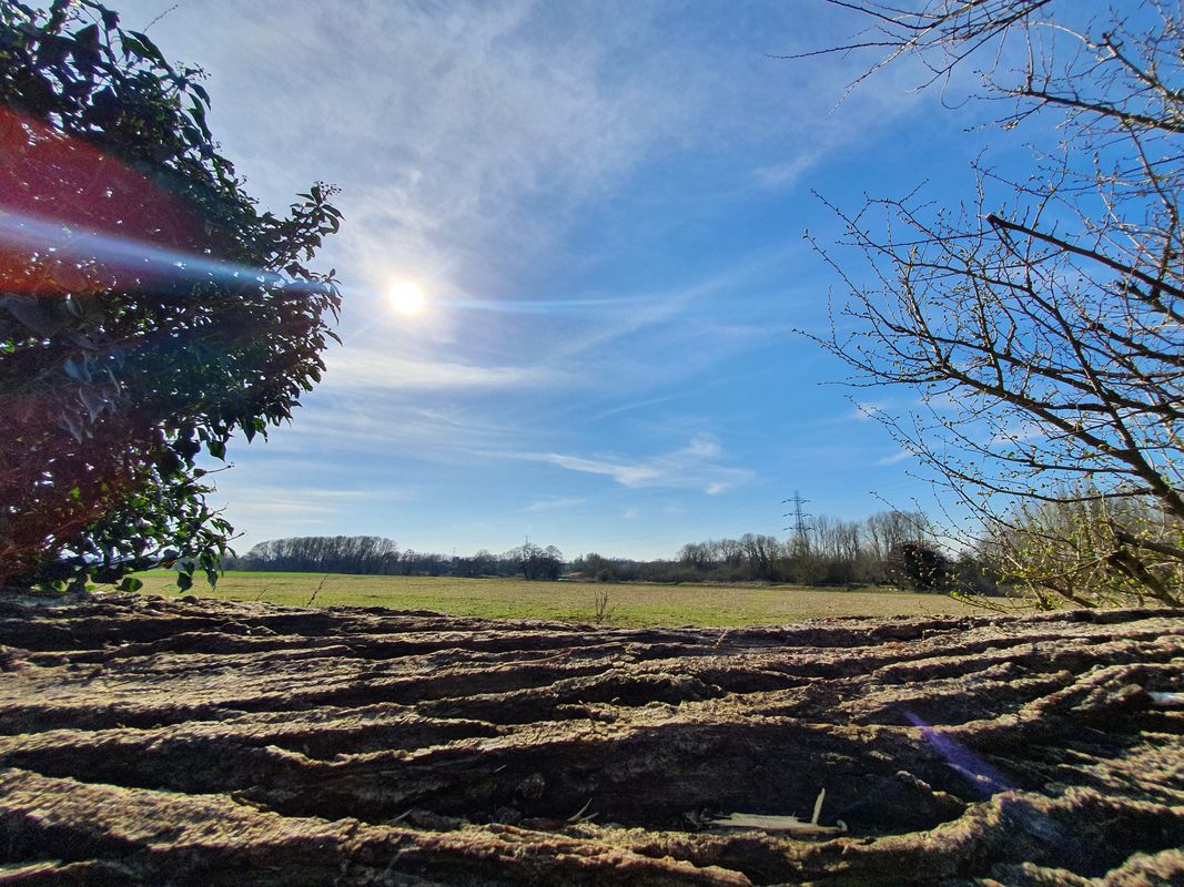 The Green, Culham to Northcourt Road 14