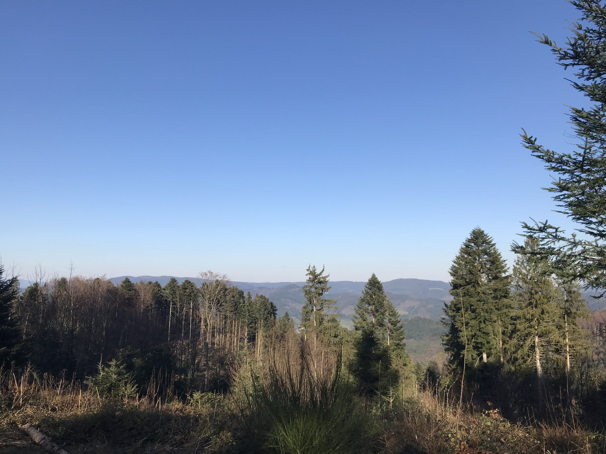 Langeckstraße 18, Lahr/Schwarzwald to Langeckstraße 18, Lahr/Schwarzwald