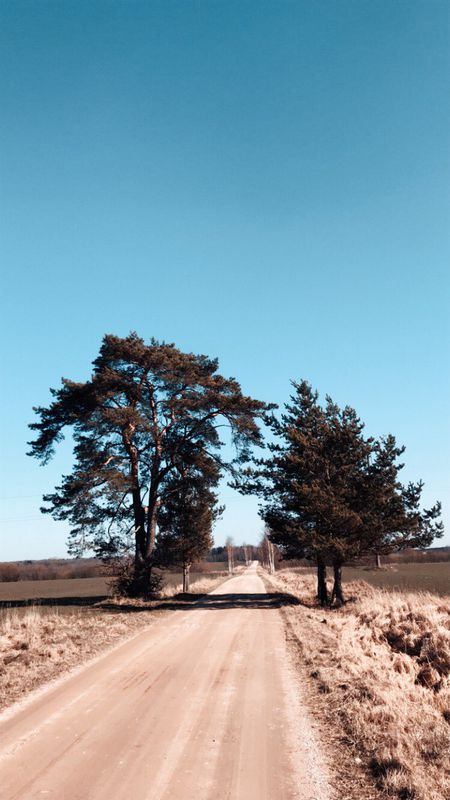 Restful route in Šiauliai