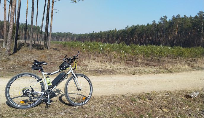 Photo 2 of the Bikemap route "2020/03 Libiąż lasy"