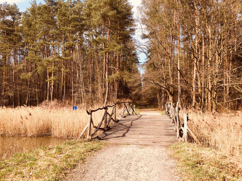 Spokojna 2, Strzebiń to Spokojna 2, Strzebiń