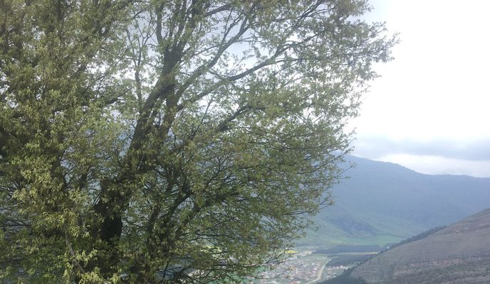 Zdjęcie 1 trasy Bikemap „Ramian’s Paraglider site”