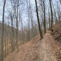 Easy ride in Baia Mare