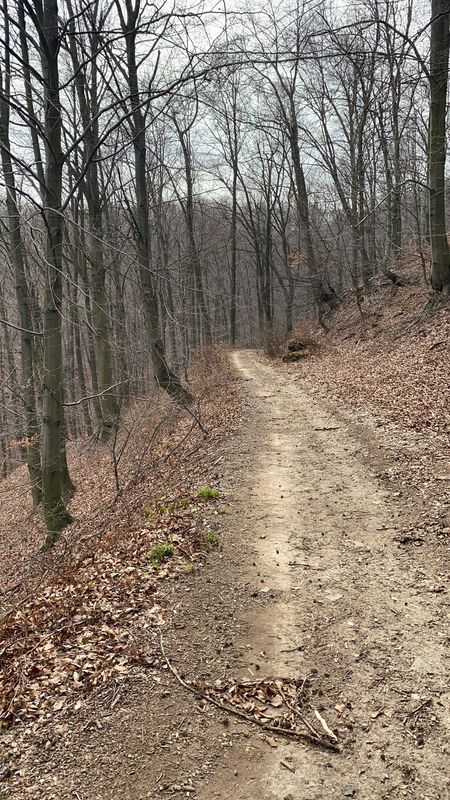 Easy ride in Baia Mare