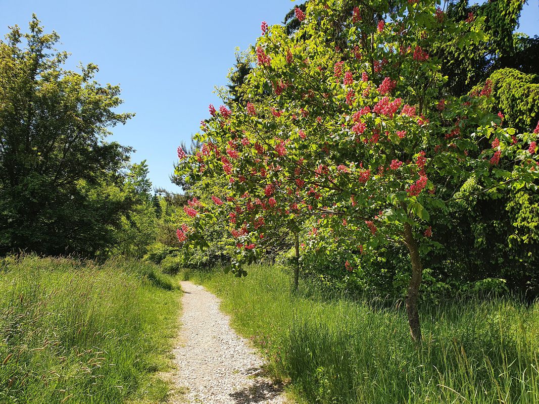 Höflinger Forst - Höhenhof Rundtour