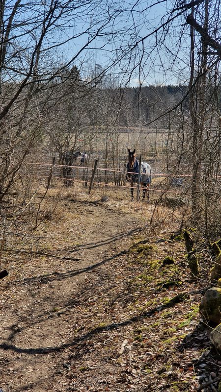 Metsänneidontie 6, Hollola to Metsänneidontie 6, Hollola