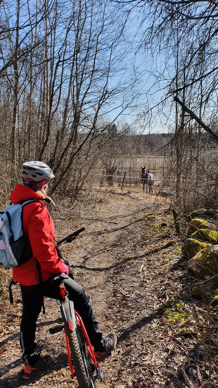 Metsänneidontie 6, Hollola to Metsänneidontie 6, Hollola