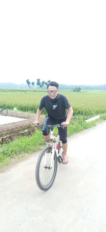 Jalan Merpati 437, Kecamatan Pringsewu to Jalan Merpati 437, Kecamatan Pringsewu