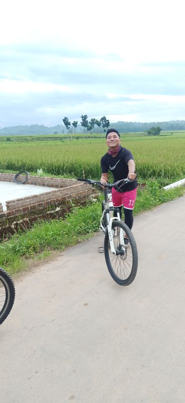 Jalan Merpati 437, Kecamatan Pringsewu to Jalan Merpati 437, Kecamatan Pringsewu