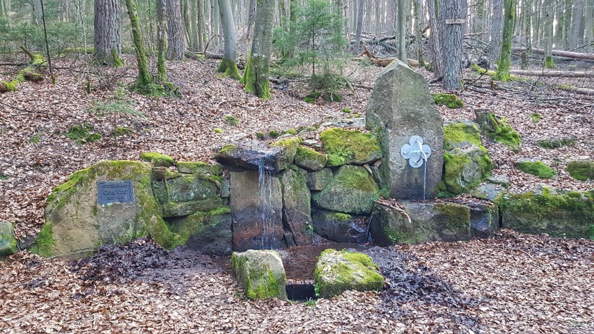 Toter Mann - Kimbach - Bad König