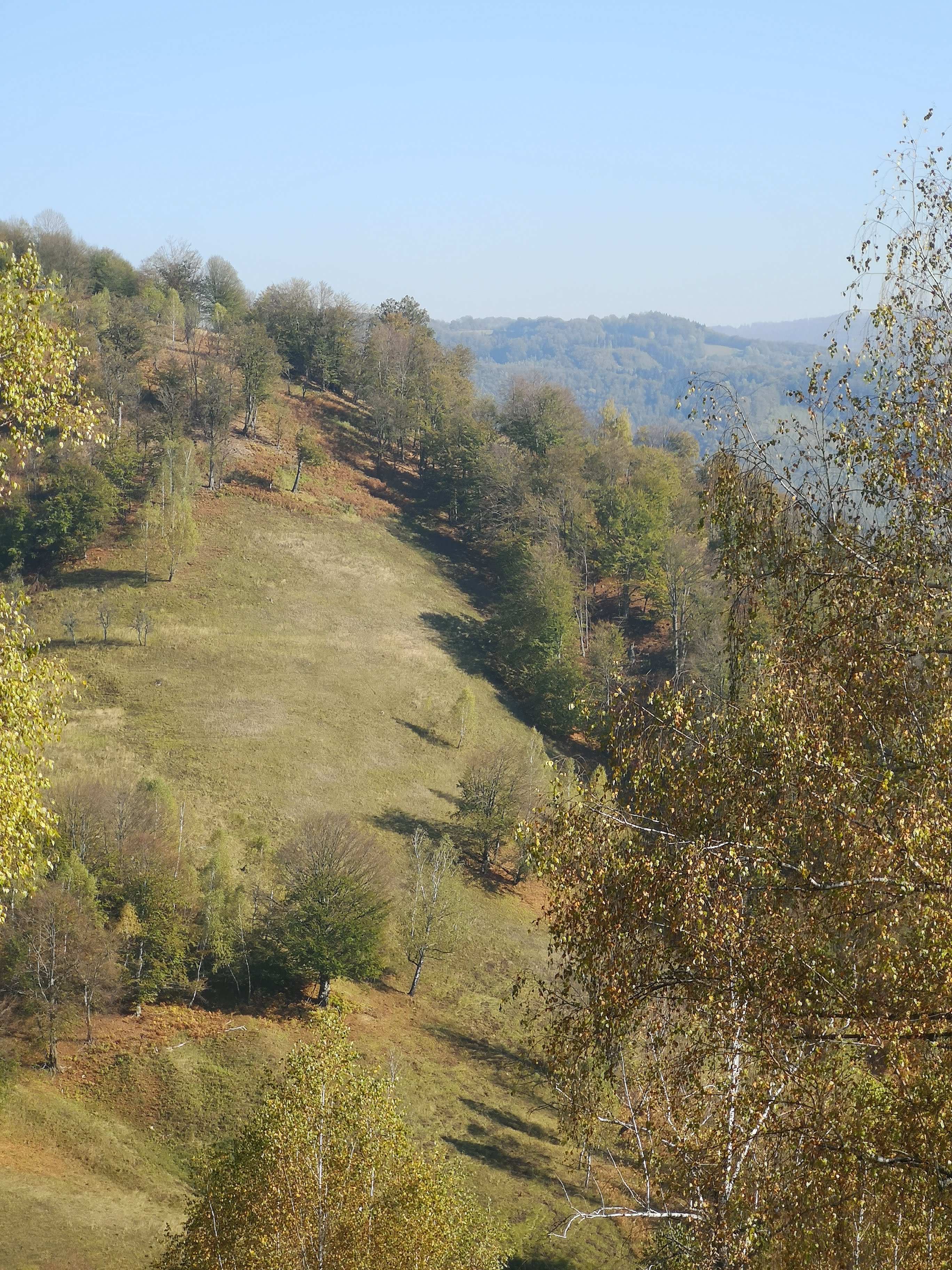 Pietroasa 2019