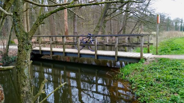 Photo 2: mtbjtm