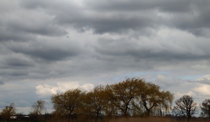 Photo 2 de l’itinéraire Bikemap « Hilversum loop#2 »