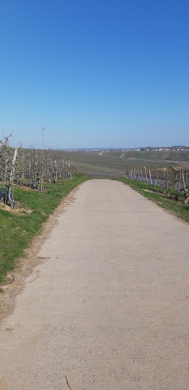 Grabenstraße 4, Löchgau to Grabenstraße 4, Löchgau