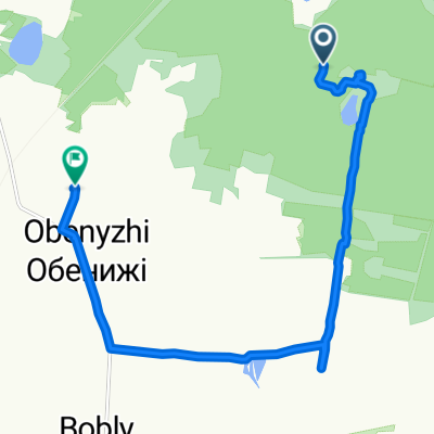 Turiis'kyi district to Unnamed Road, Obenyzhi