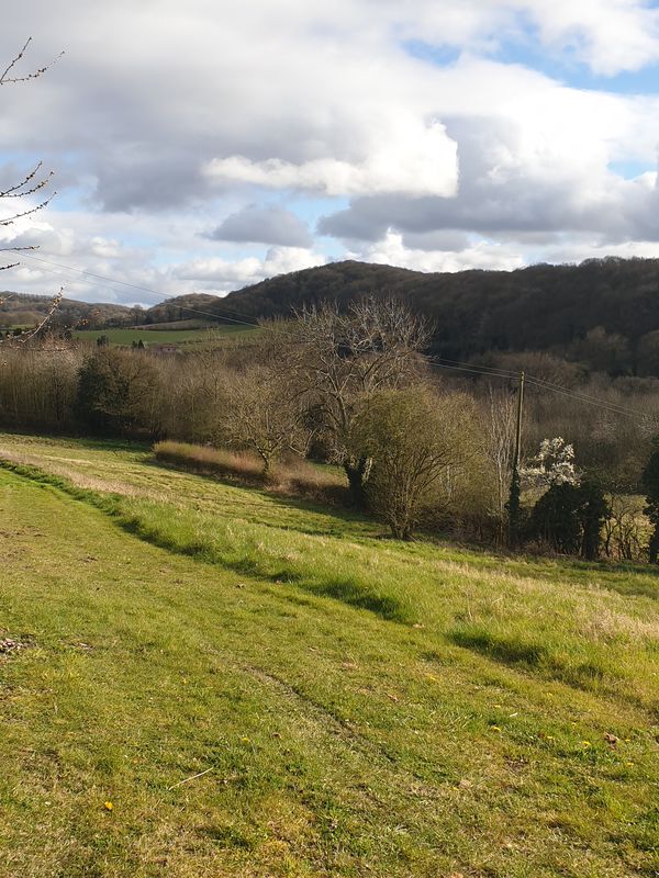 Farriers Orchard 1, Fromes Hill to Farriers Orchard 1, Fromes Hill