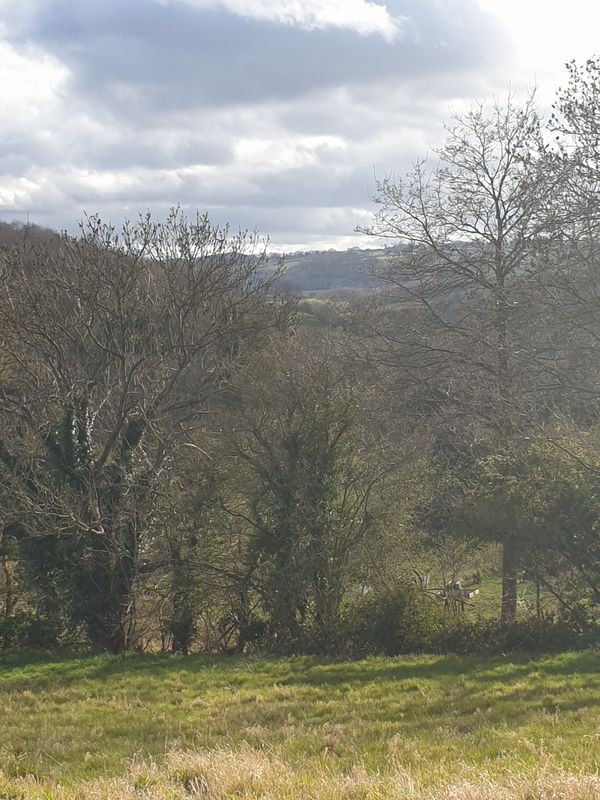 Farriers Orchard 1, Fromes Hill to Farriers Orchard 1, Fromes Hill