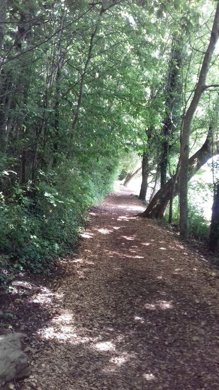 Alpen2018_Ausflug_am_Genfer_See