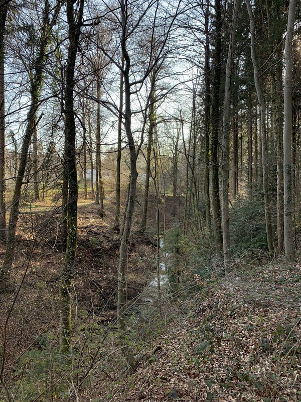 Steady ride in Dübendorf