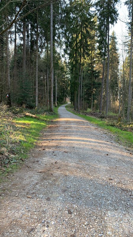 Steady ride in Dübendorf