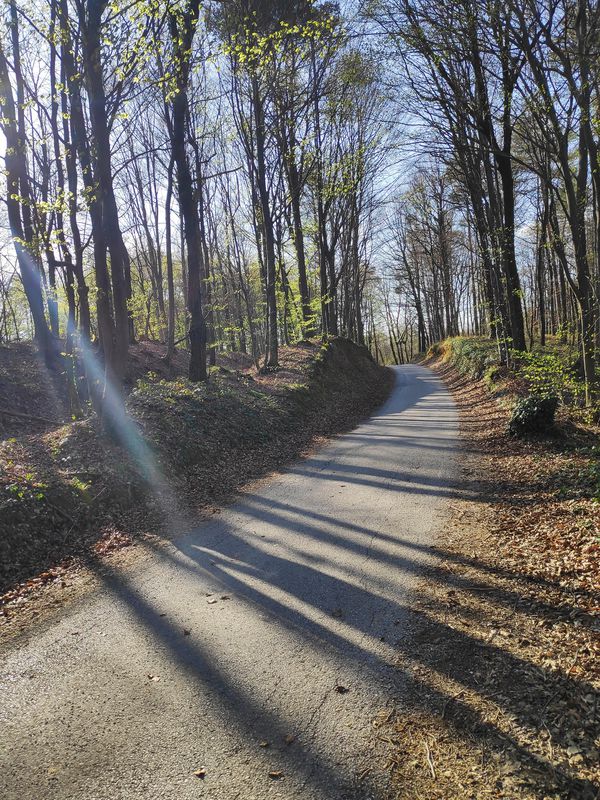 bajeri-klenovnik_04/2020