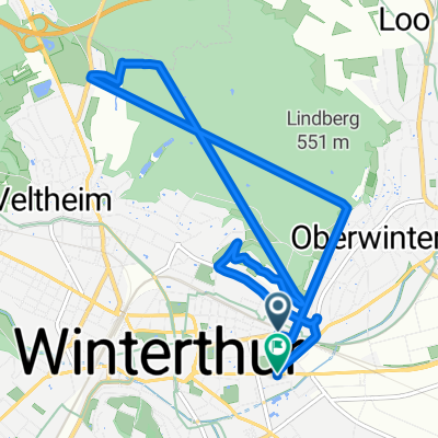 Forrenberg Wald Rund