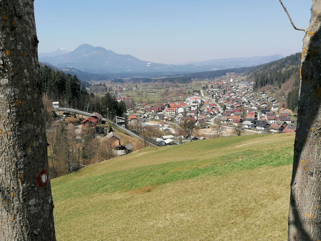 Mislinja-Tolsti vrh-Dolic-Mislinja 08.04.2020