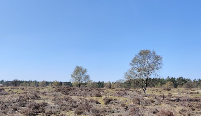 Foto 2 der Bikemap-Route "Hilversum loop #3"