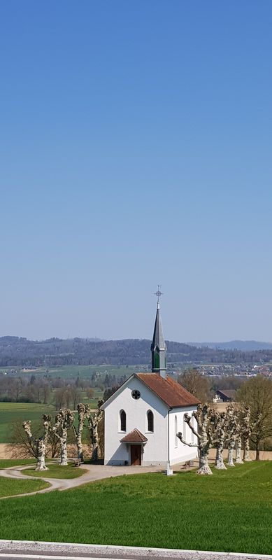 muri, route 84