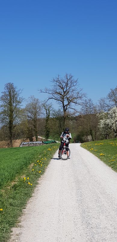 muri, route 84